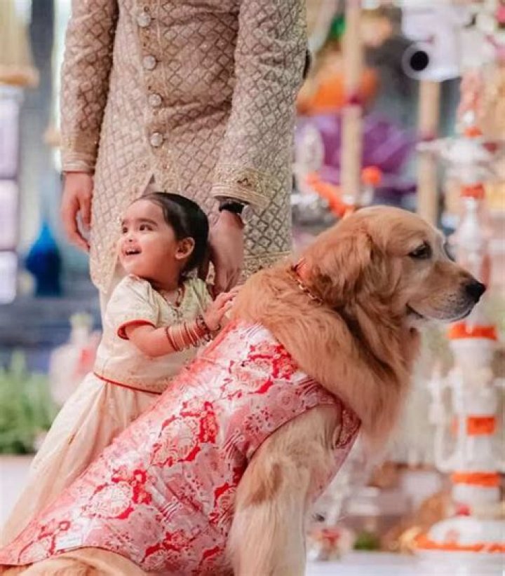 The Ultimate Guide To Aadiya Shaktipiramal: Unlocking Its Benefits