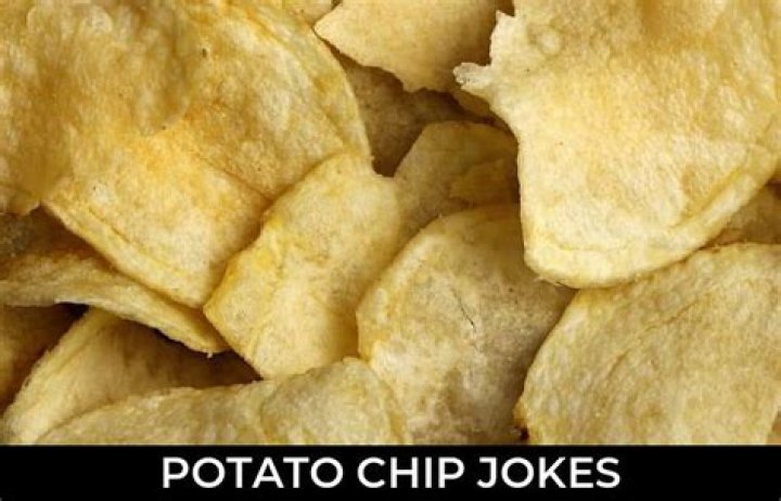 The Ultimate Chip Joke Anthology: Laugh Out Loud With Our Gigantic Collection