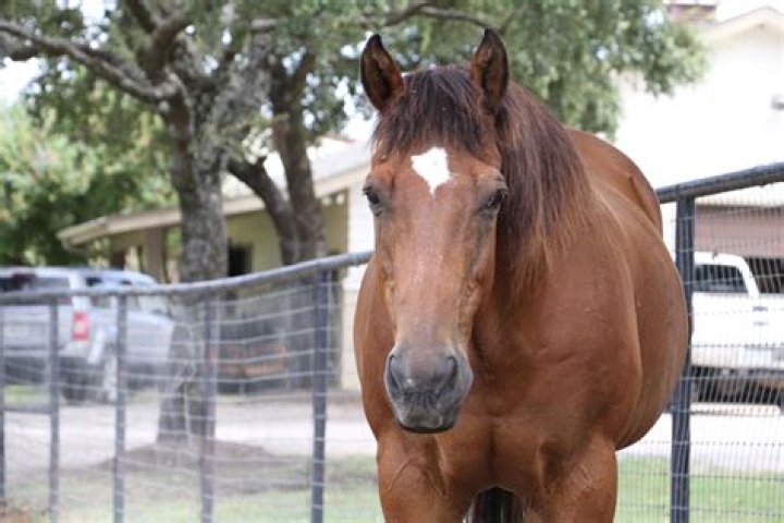 Lori Inderman: The Ultimate Guide To Health And Wellness