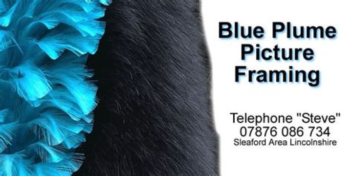 Stunning Plume Pictures: Capture The Grace Of Nature