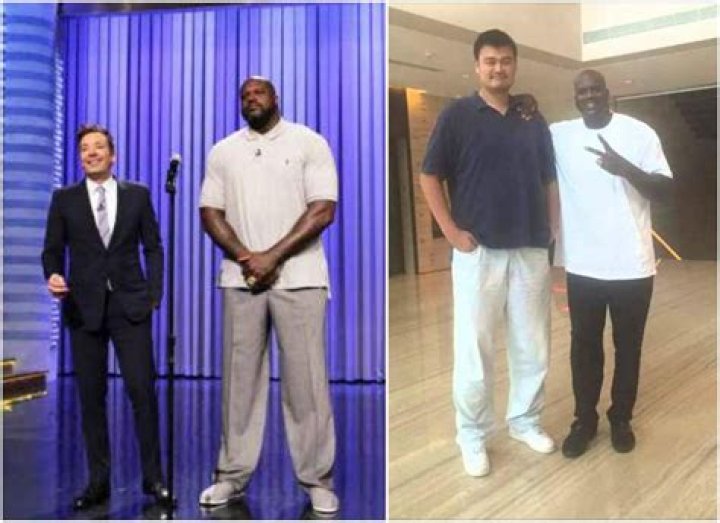 Shaq O'Neal: A Towering Force In Basketball History