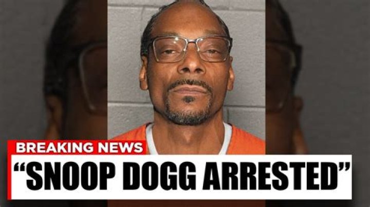 A Comprehensive Timeline Of Snoop Dogg's Arrests