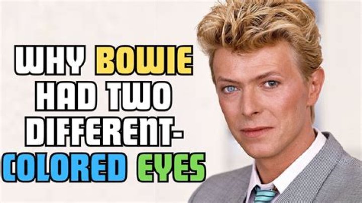 Bowie's Nominations: A Comprehensive Guide