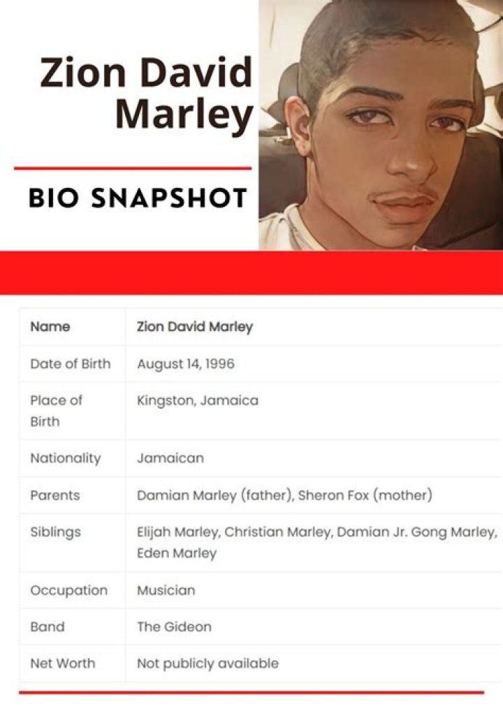 Zion David Marley's Astounding Wealth: A Comprehensive Net Worth Analysis